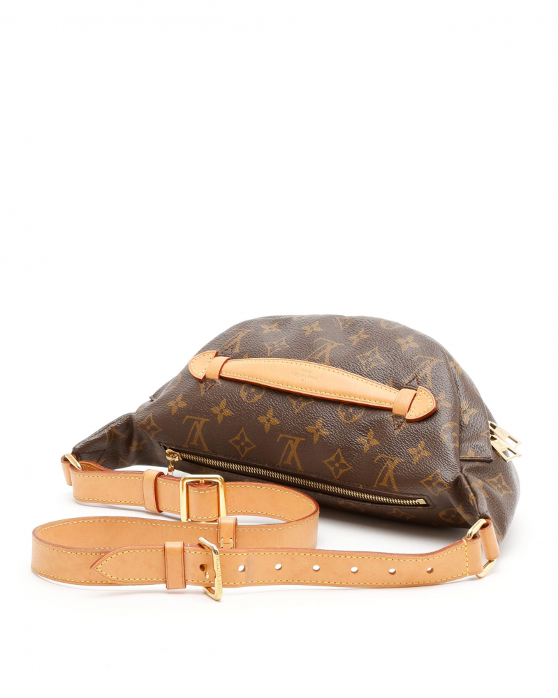 Louis Vuitton Monogram Bumbag