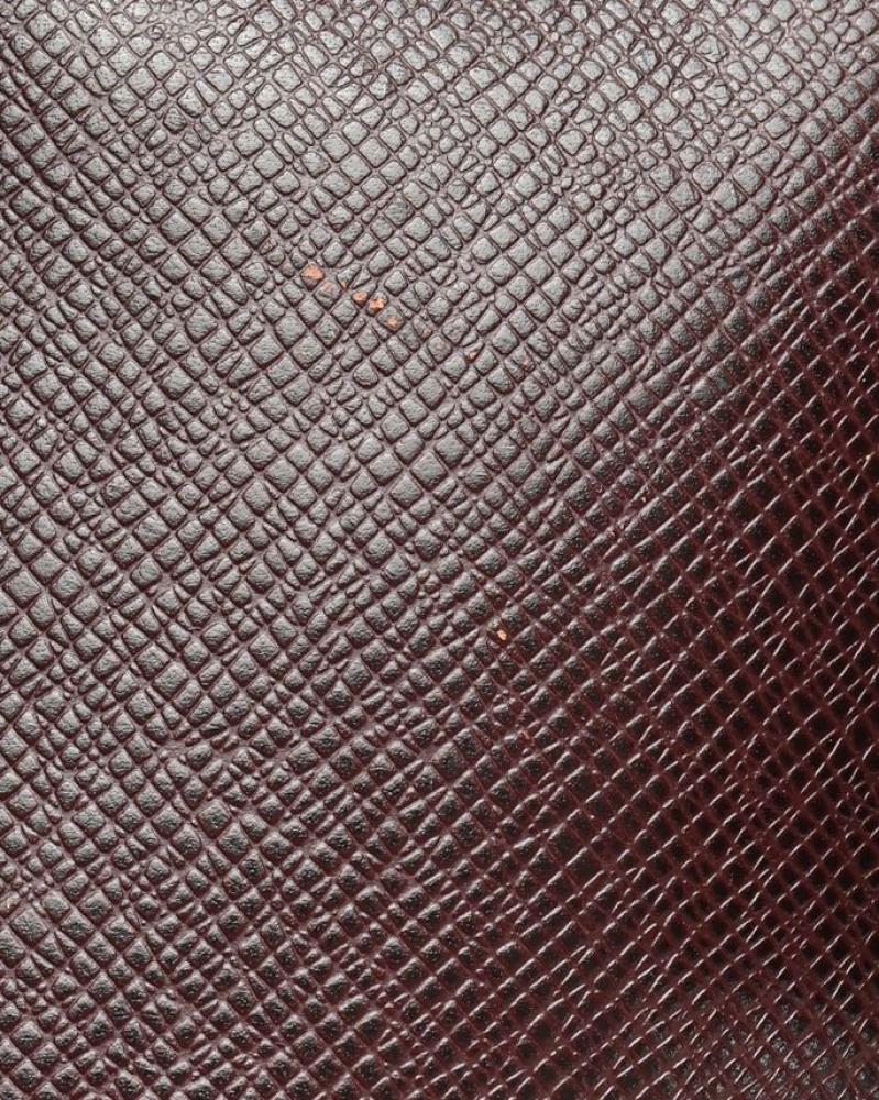 Louis Vuitton Taiga Kendall PM Weekend Bag