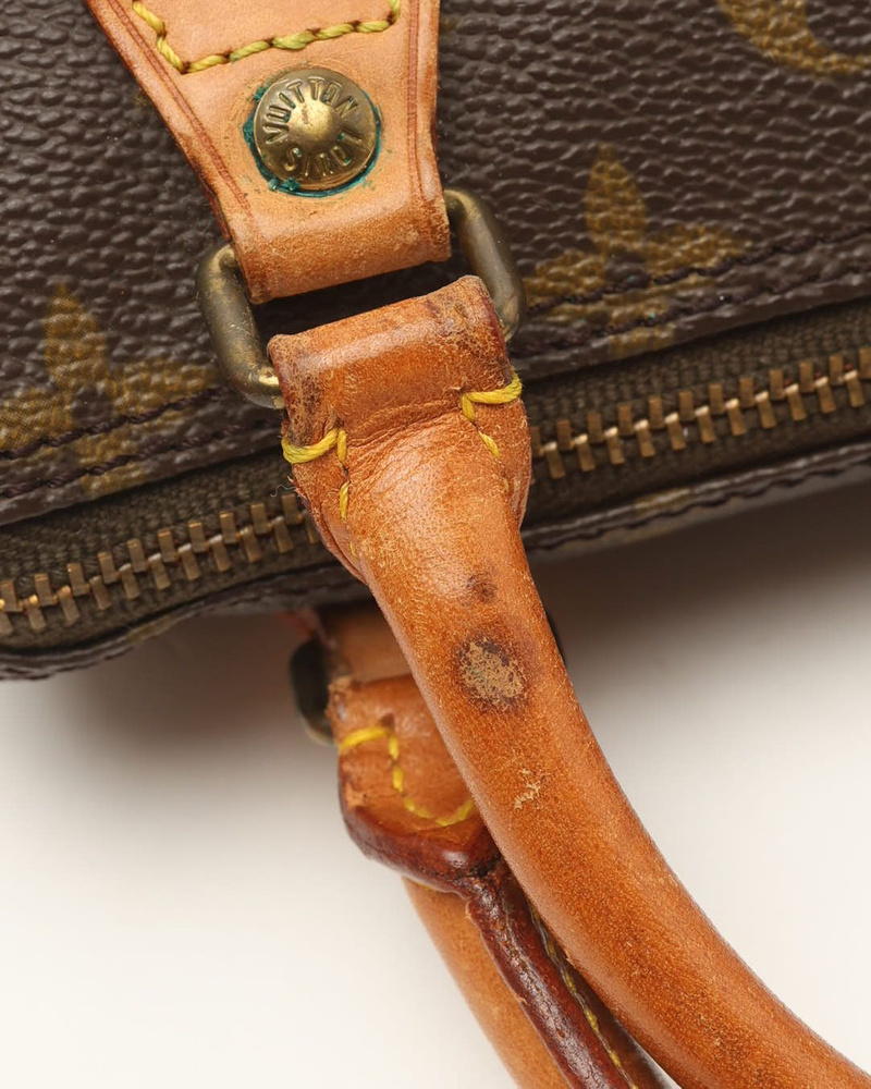 Louis Vuitton Monogram Nano Speedy Bag