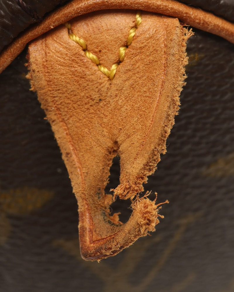 Louis Vuitton Monogram Nano Speedy Bag