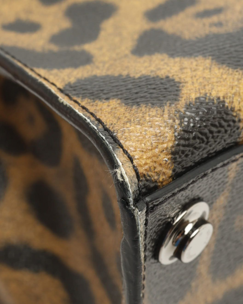 Louis Vuitton Wild Animal City Steamer MM Bag