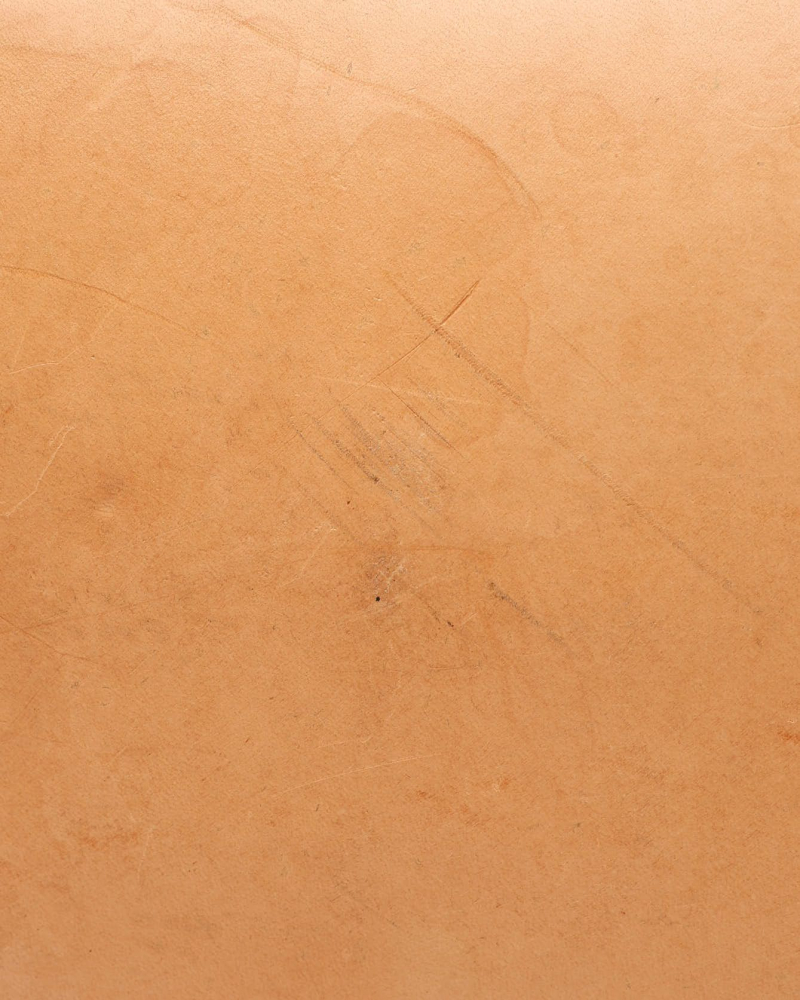 Louis Vuitton Monogram Alma PM Bag