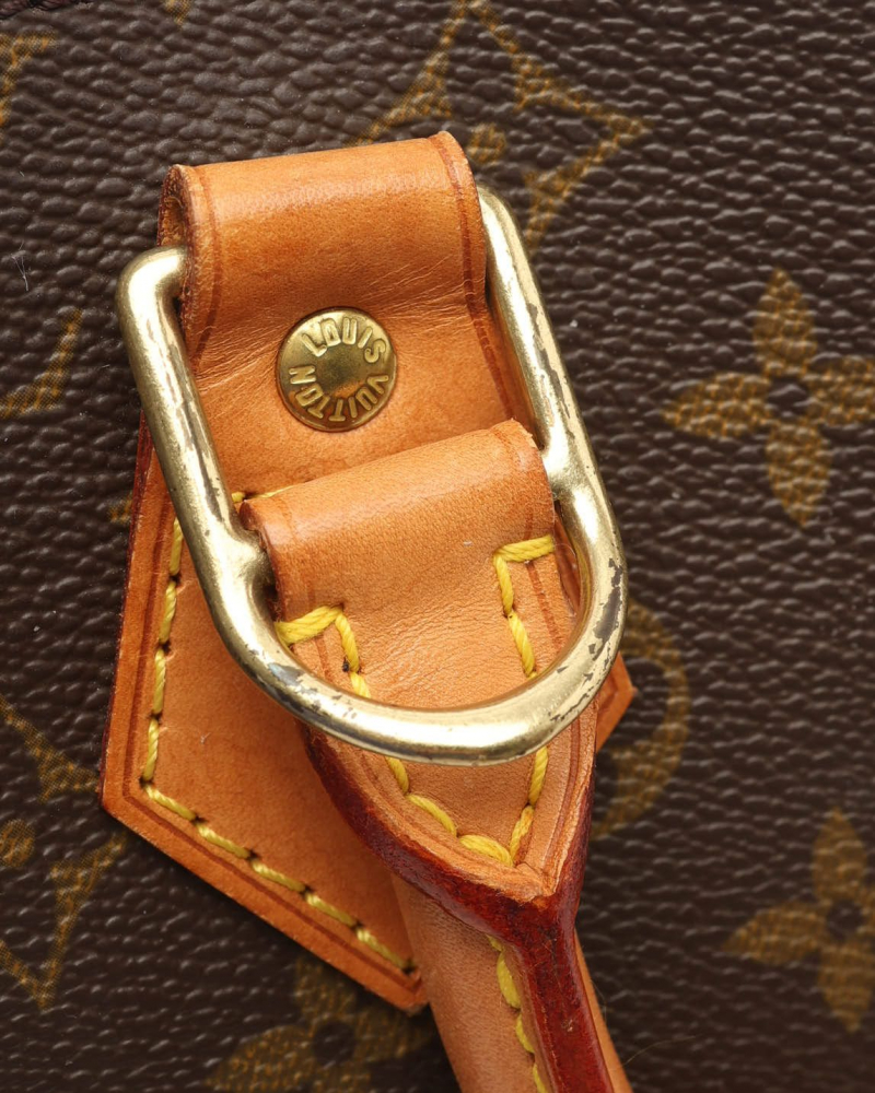 Louis Vuitton Monogram Alma PM Bag