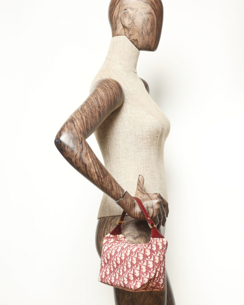 Christian Dior Oblique Pochette Bag