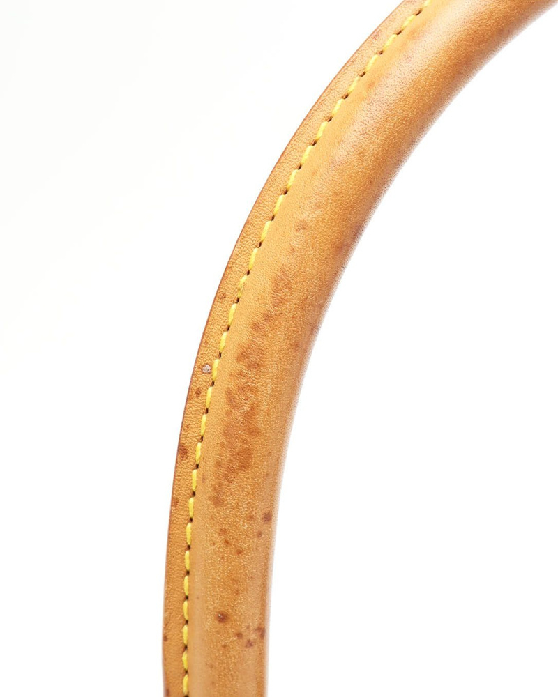 Louis Vuitton Monogram Mini Looping Bag