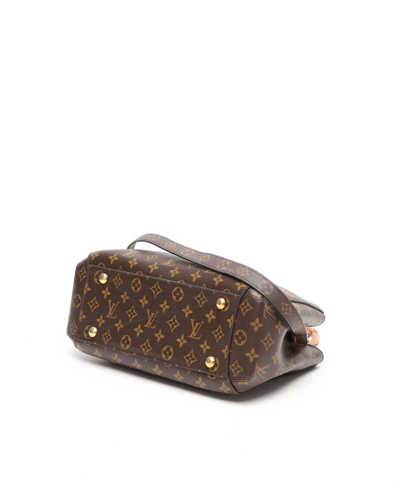 Louis Vuitton Monogram Montaigne MM Bag