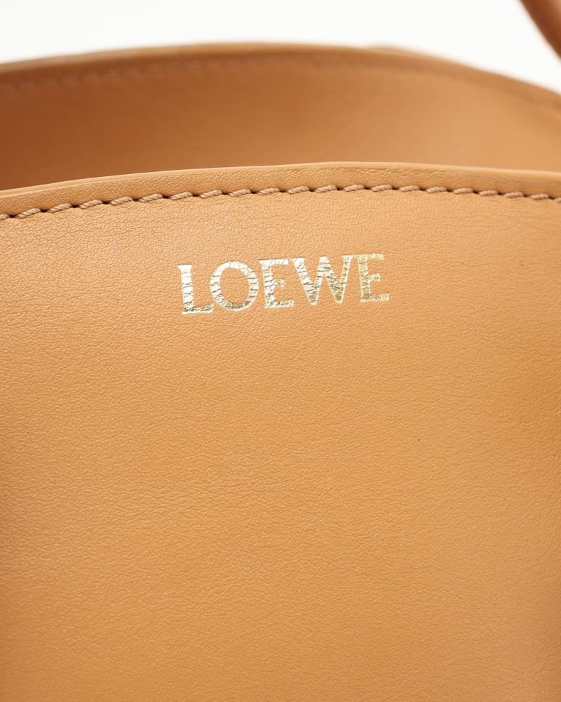 Loewe Small Paseo Bag