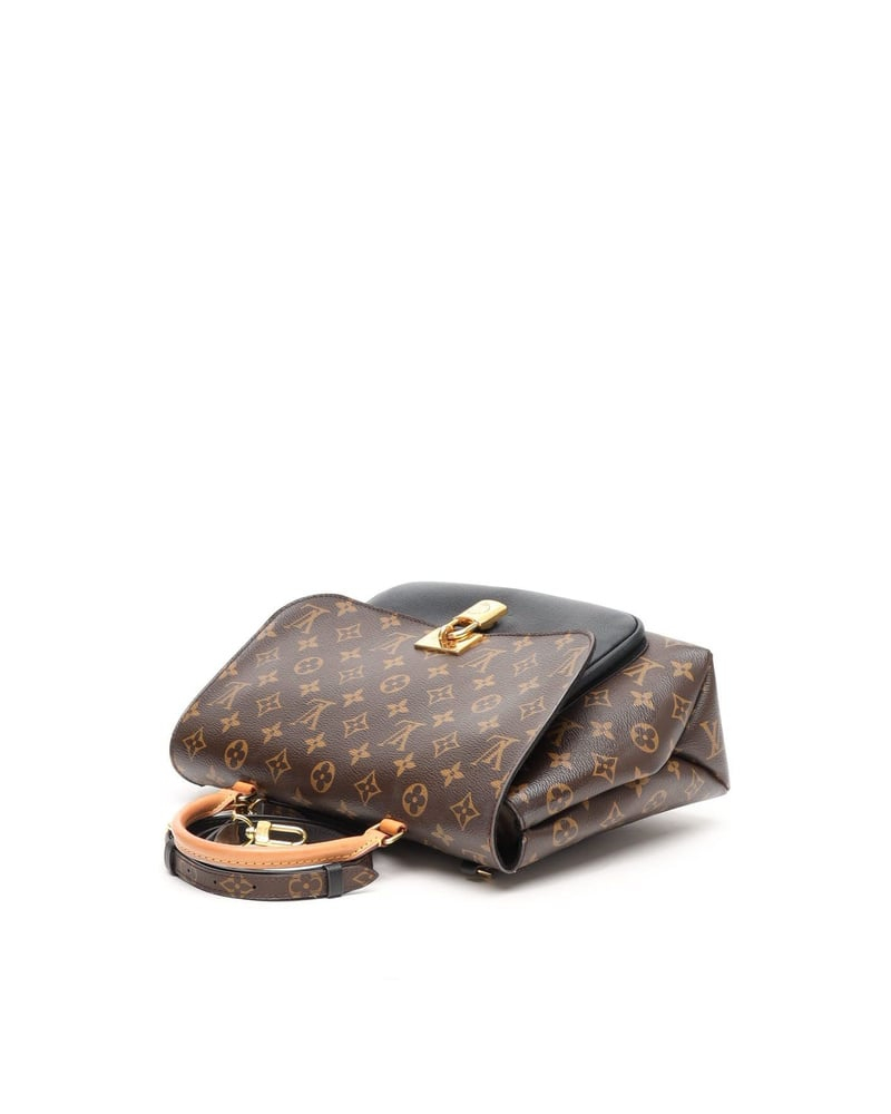 Louis Vuitton Monogram Marignan Bag