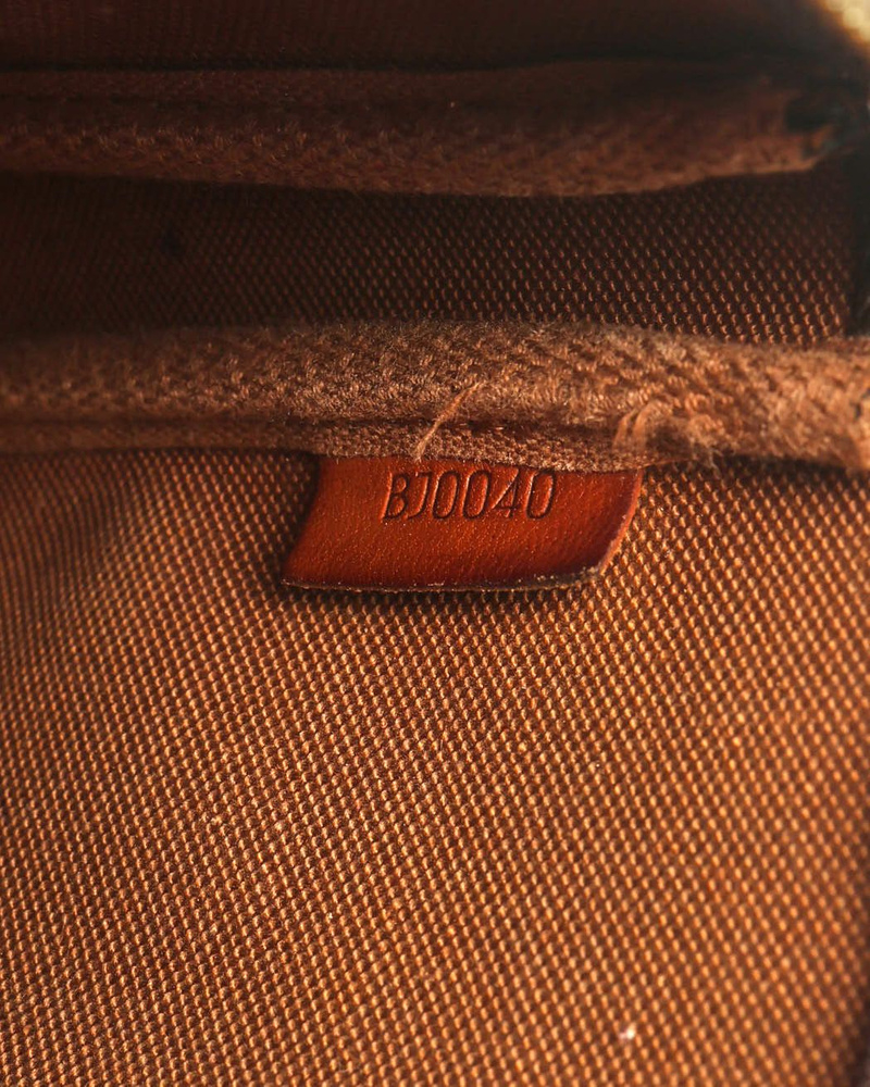 Louis Vuitton Monogram Pochette Accessoires Bag