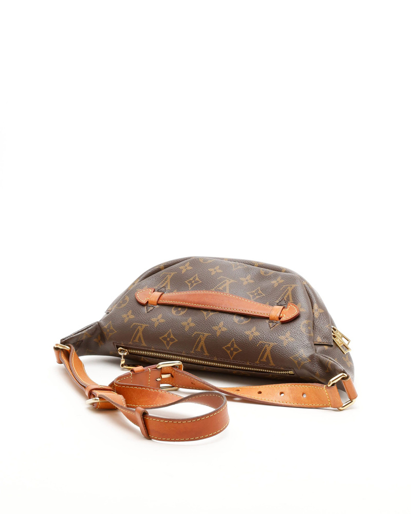 Louis Vuitton Monogram Bumbag