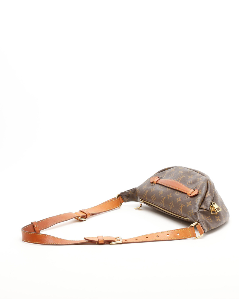 Louis Vuitton Monogram Bumbag