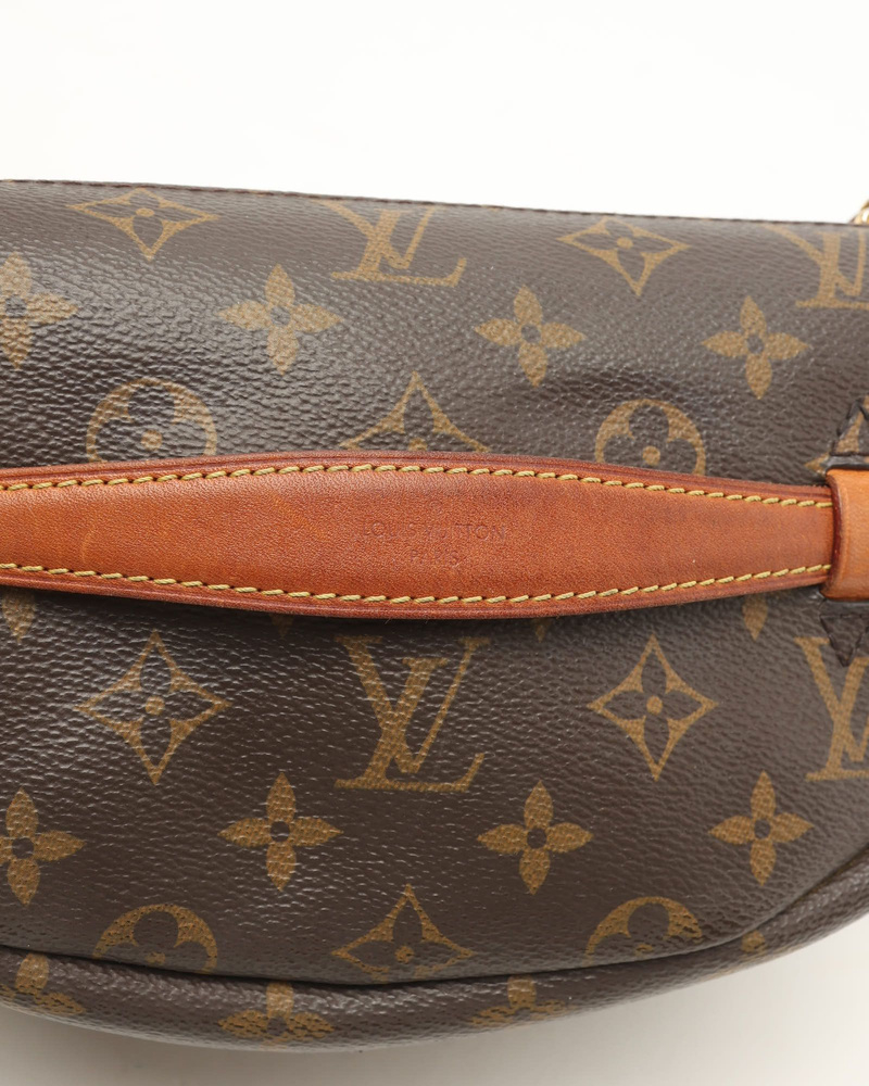 Louis Vuitton Monogram Bumbag
