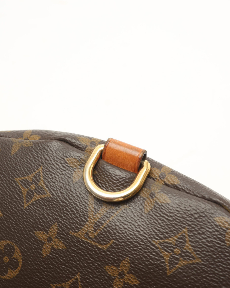 Louis Vuitton Monogram Bumbag