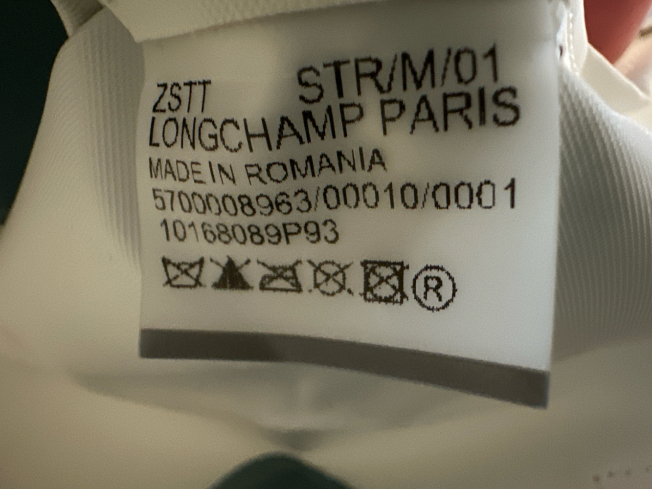 Longchamp Le pliage vertical M mint green