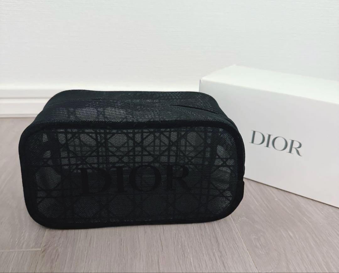 Christian Dior Mesh Canage