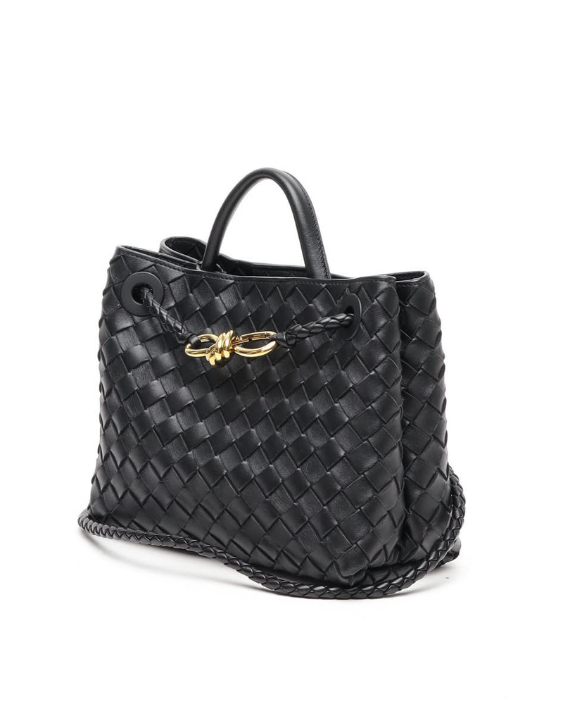 Bottega Veneta Intrecciato Small Andiamo Bag