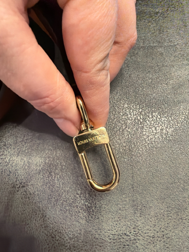 Louis Vuitton Loop Hobo