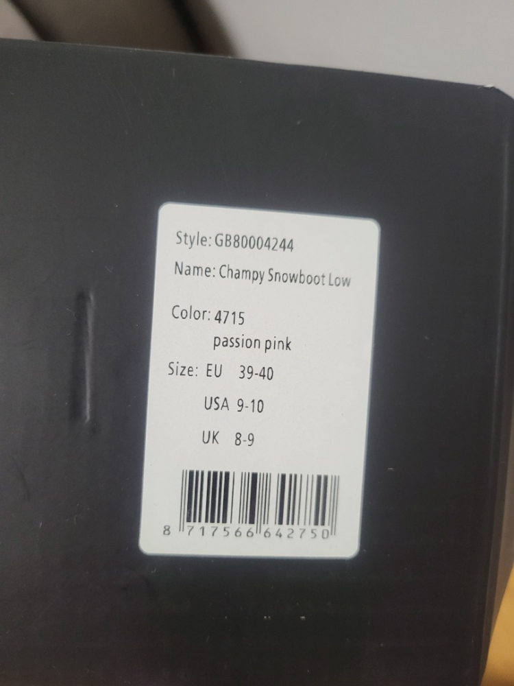 Goldbergh snow boots