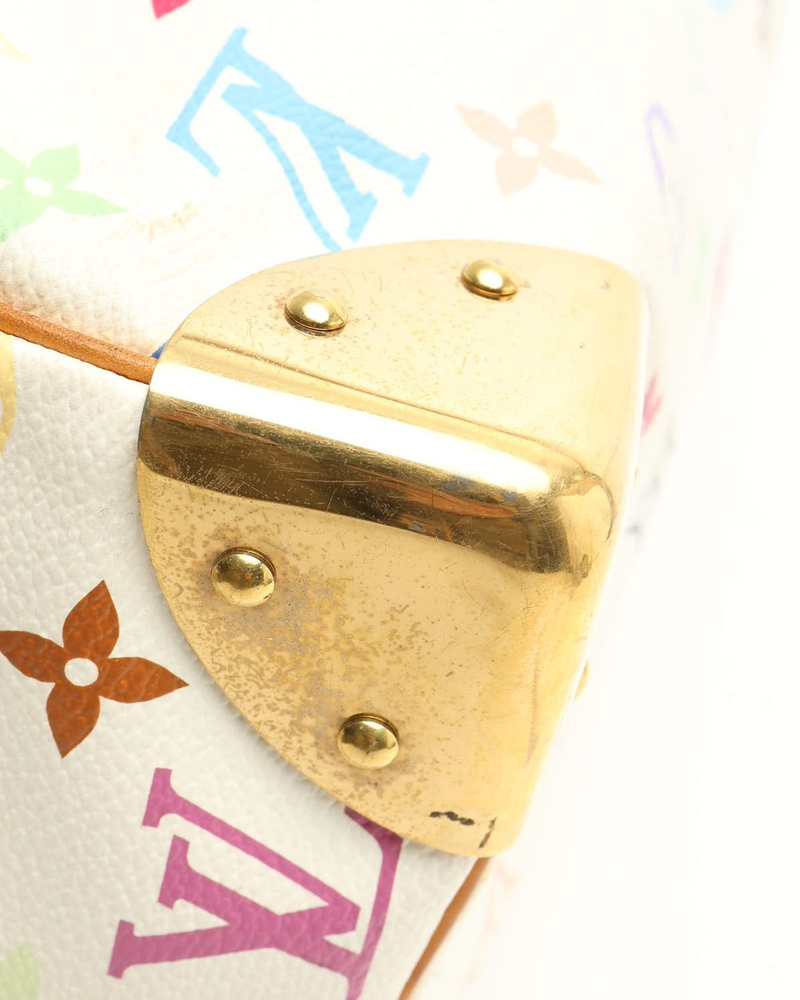 Louis Vuitton Murakami Speedy 30 Bag