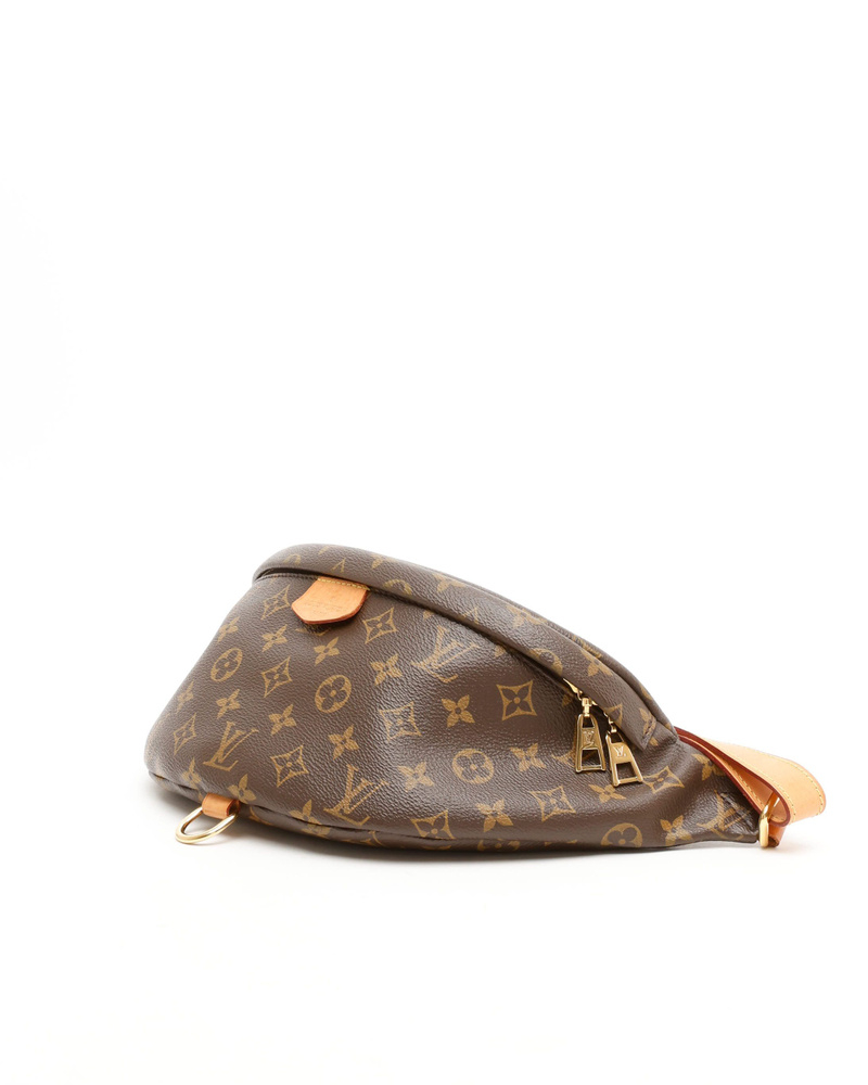 Louis Vuitton Monogram Bumbag