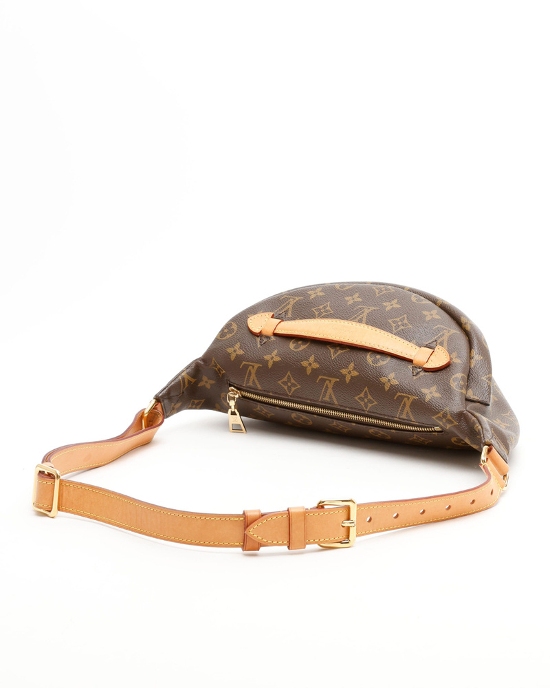 Louis Vuitton Monogram Bumbag