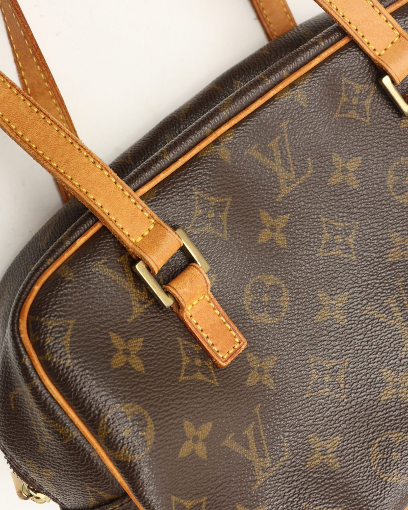 Louis Vuitton Monogram Viva Cité MM Bag