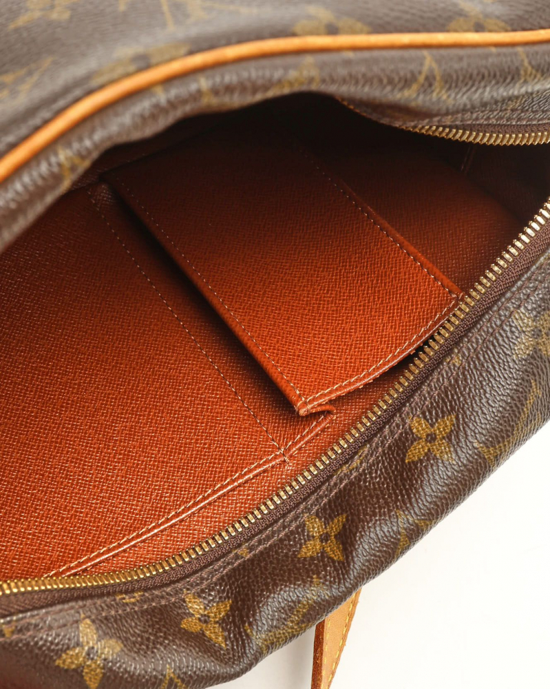 Louis Vuitton Monogram Viva Cité MM Bag