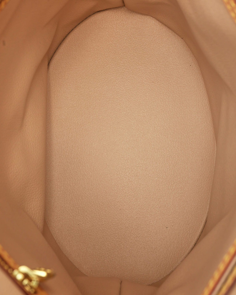 Louis Vuitton Monogram Bucket PM Bag