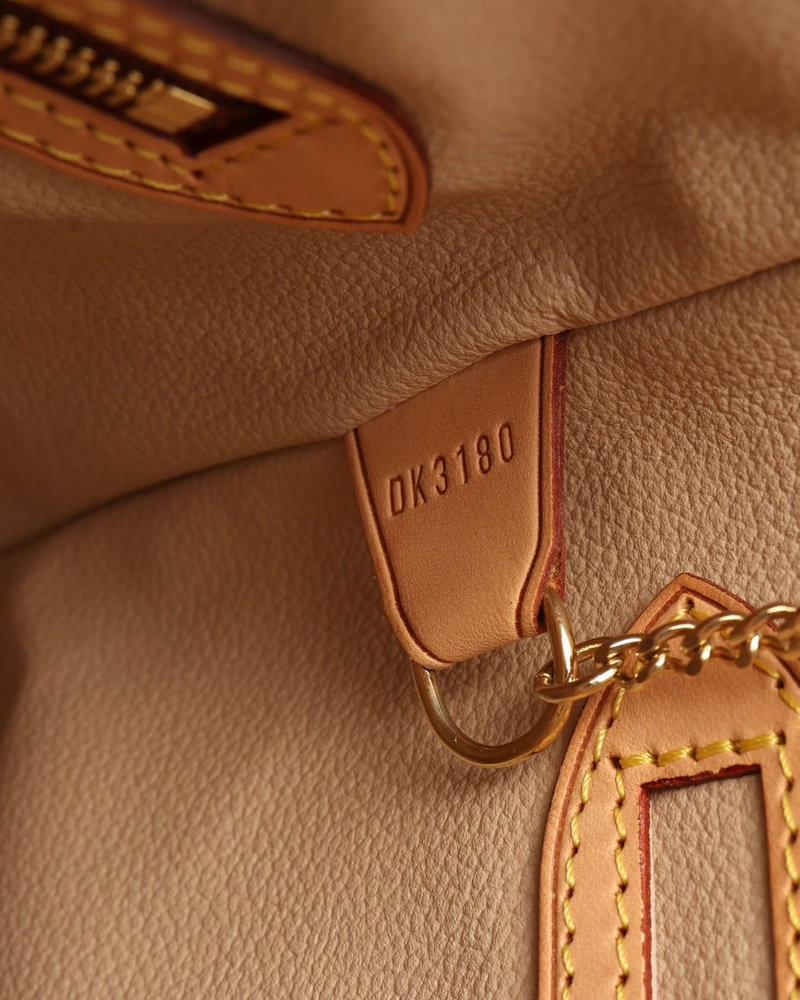 Louis Vuitton Monogram Bucket PM Bag