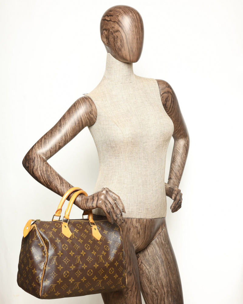 Louis Vuitton Monogram Speedy 30 Bag