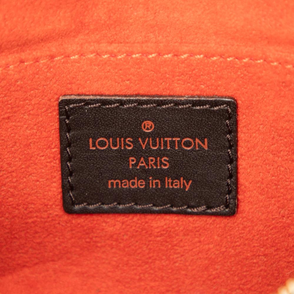 Louis Vuitton B Louis Vuitton Brown Pony Hair Natural Material Damier Sauvage Tigre Italy
