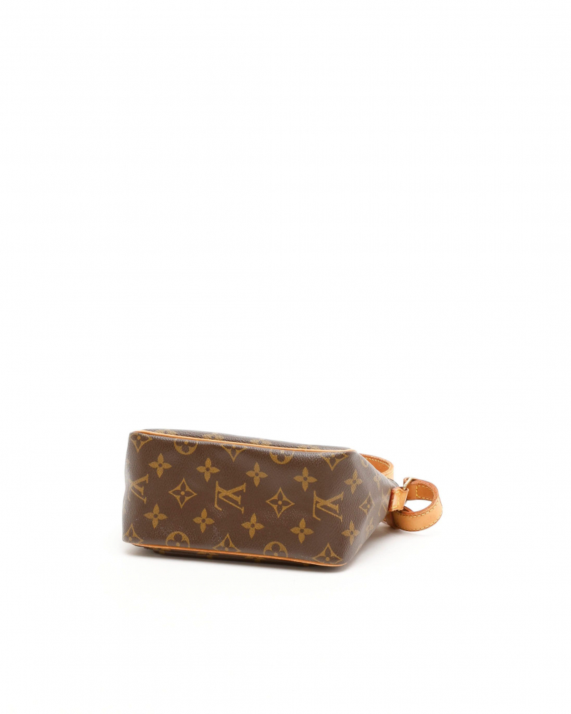 Louis Vuitton Monogram Viva Cite PM Bag
