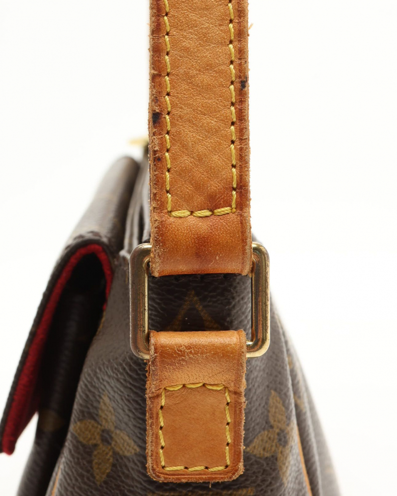 Louis Vuitton Monogram Viva Cite PM Bag