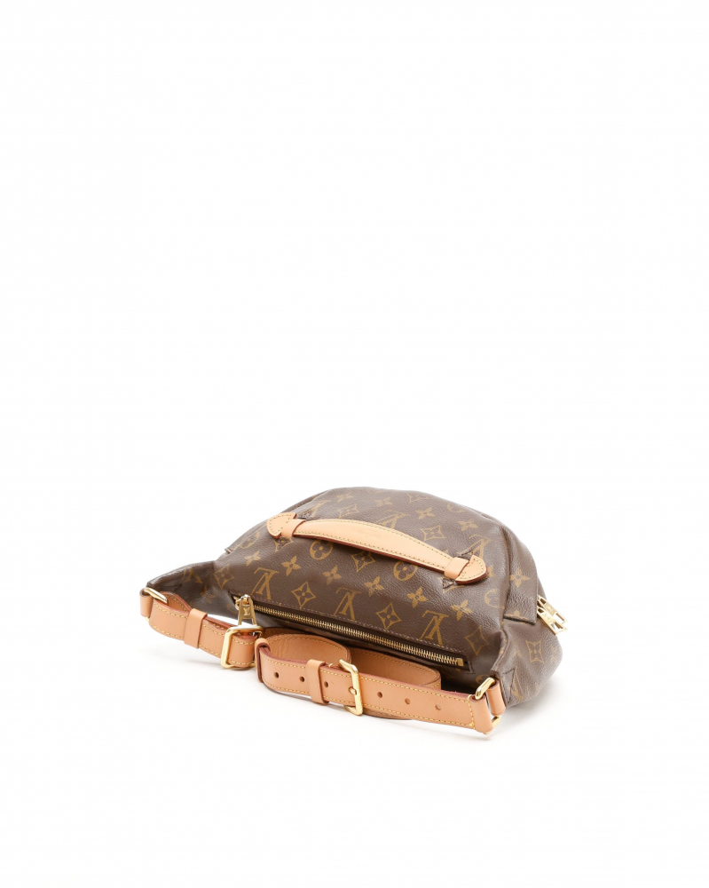 Louis Vuitton Monogram Bumbag