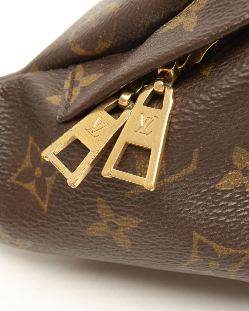 Louis Vuitton Monogram Bumbag