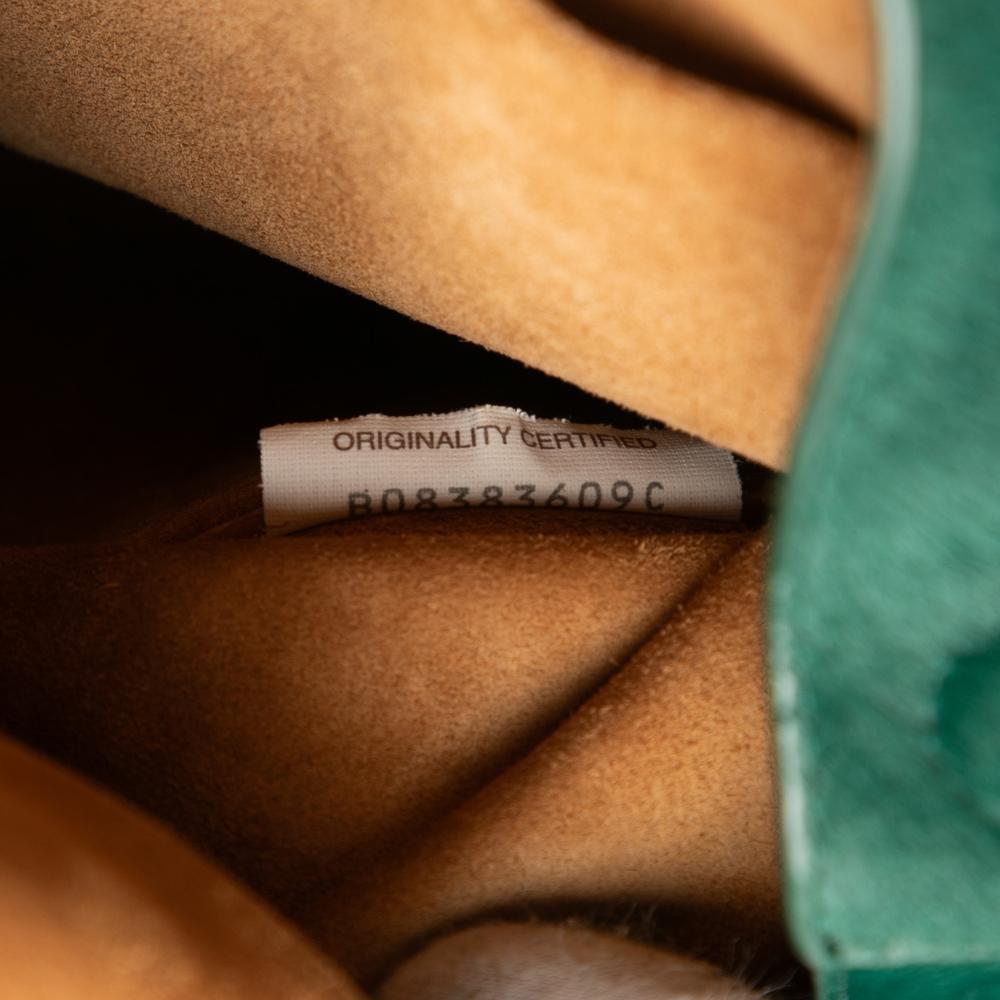 Bottega Veneta AB Bottega Veneta Green Pony Hair Natural Material Small Drop Bucket Bag Italy