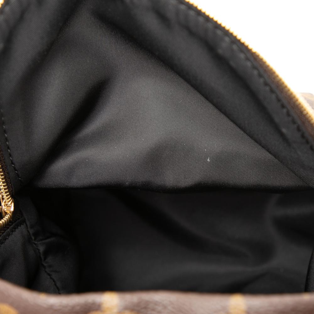 Louis Vuitton AB Louis Vuitton Brown Monogram Canvas Fabric Monogram Mini Palm Springs France