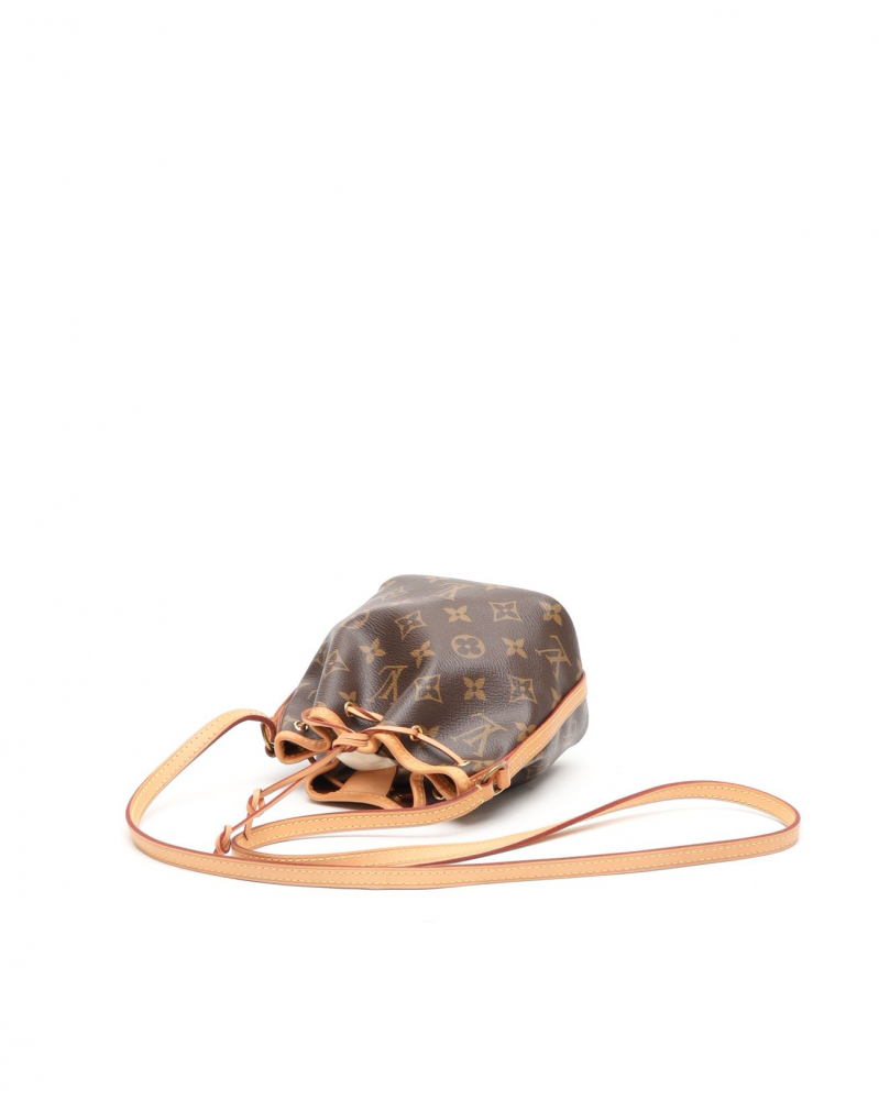 Louis Vuitton Monogram Nano Noé Bag