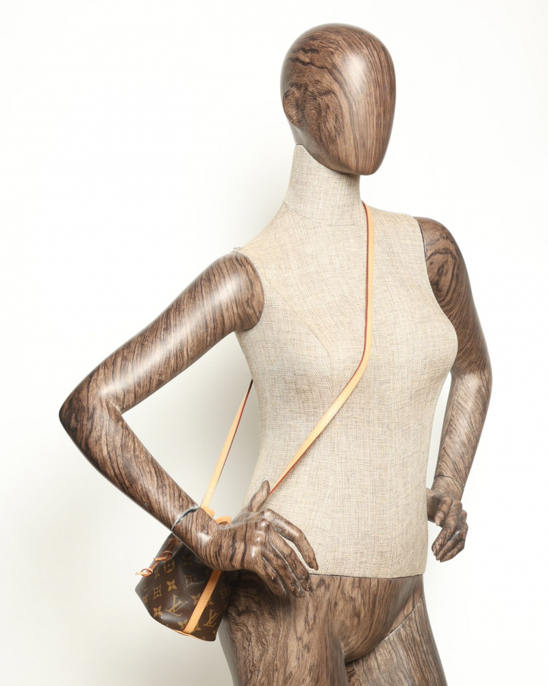 Louis Vuitton Monogram Nano Noé Bag