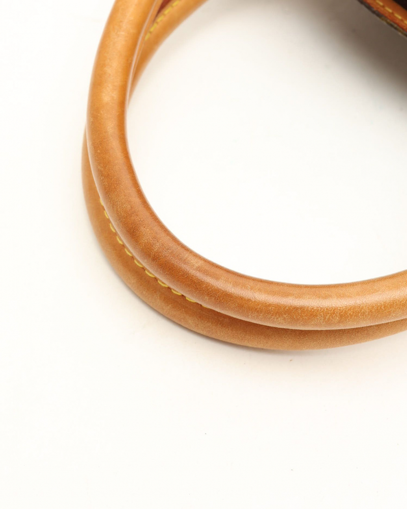 Louis Vuitton Monogram Ellipse PM Bag