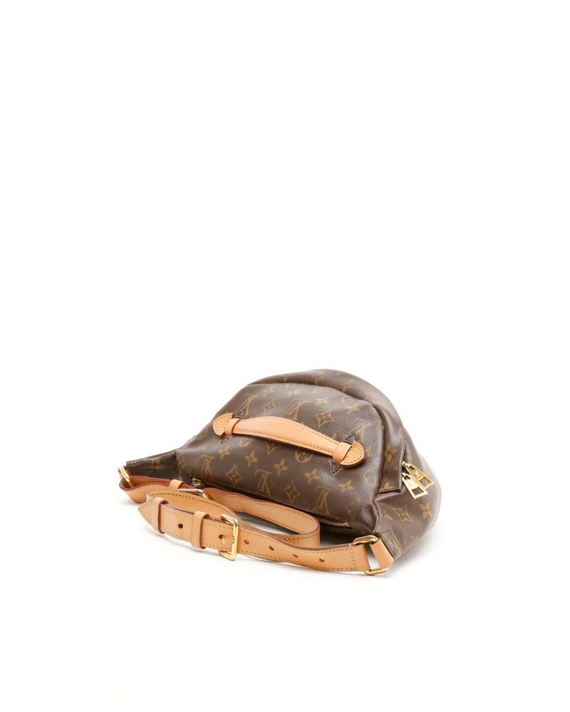Louis Vuitton Monogram Bumbag