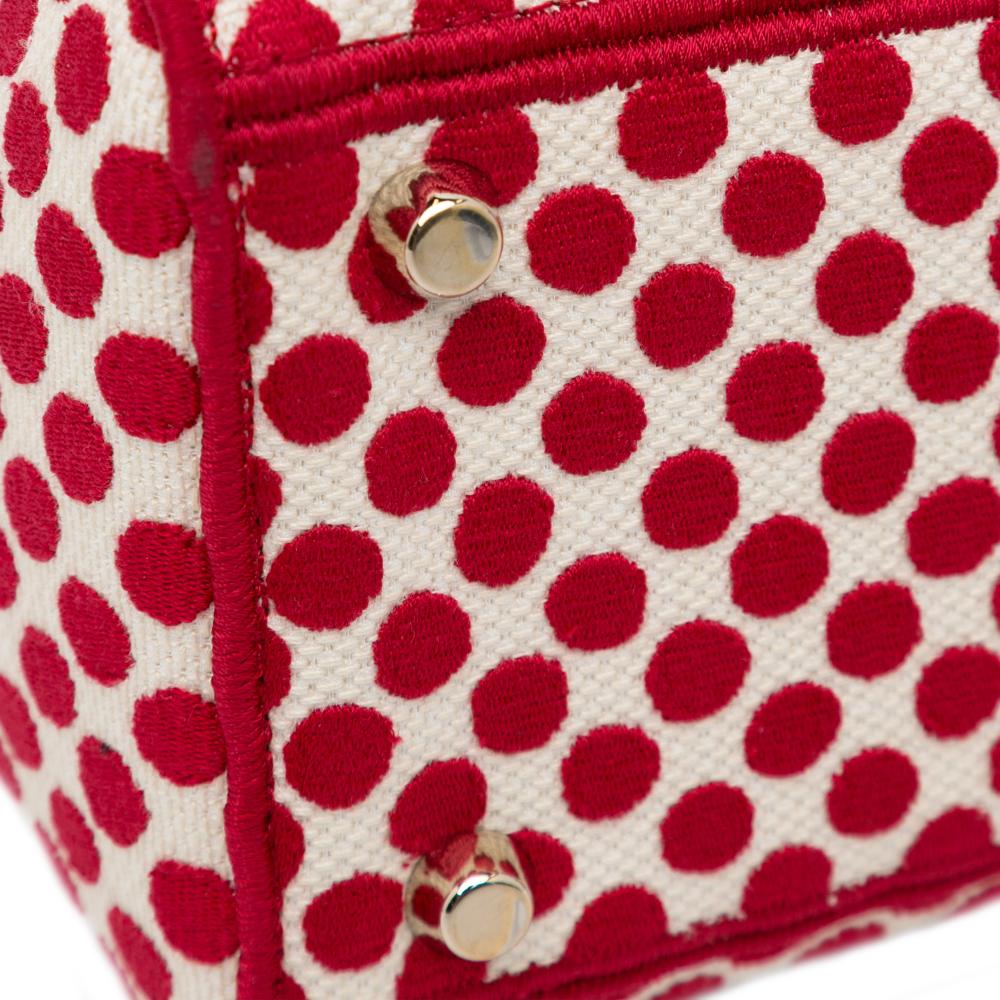 Christian Dior AB Dior Red with White Canvas Fabric DiorAmour Medium Embroidered Dots Lady D Lite Italy