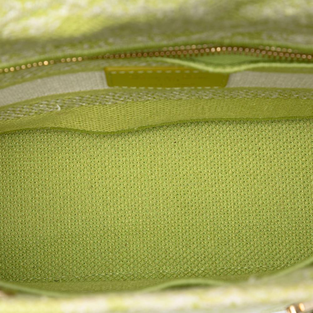 Christian Dior B Dior Green Lime Canvas Fabric Medium Embroidered Toile de Jouy Lady D Lite Italy