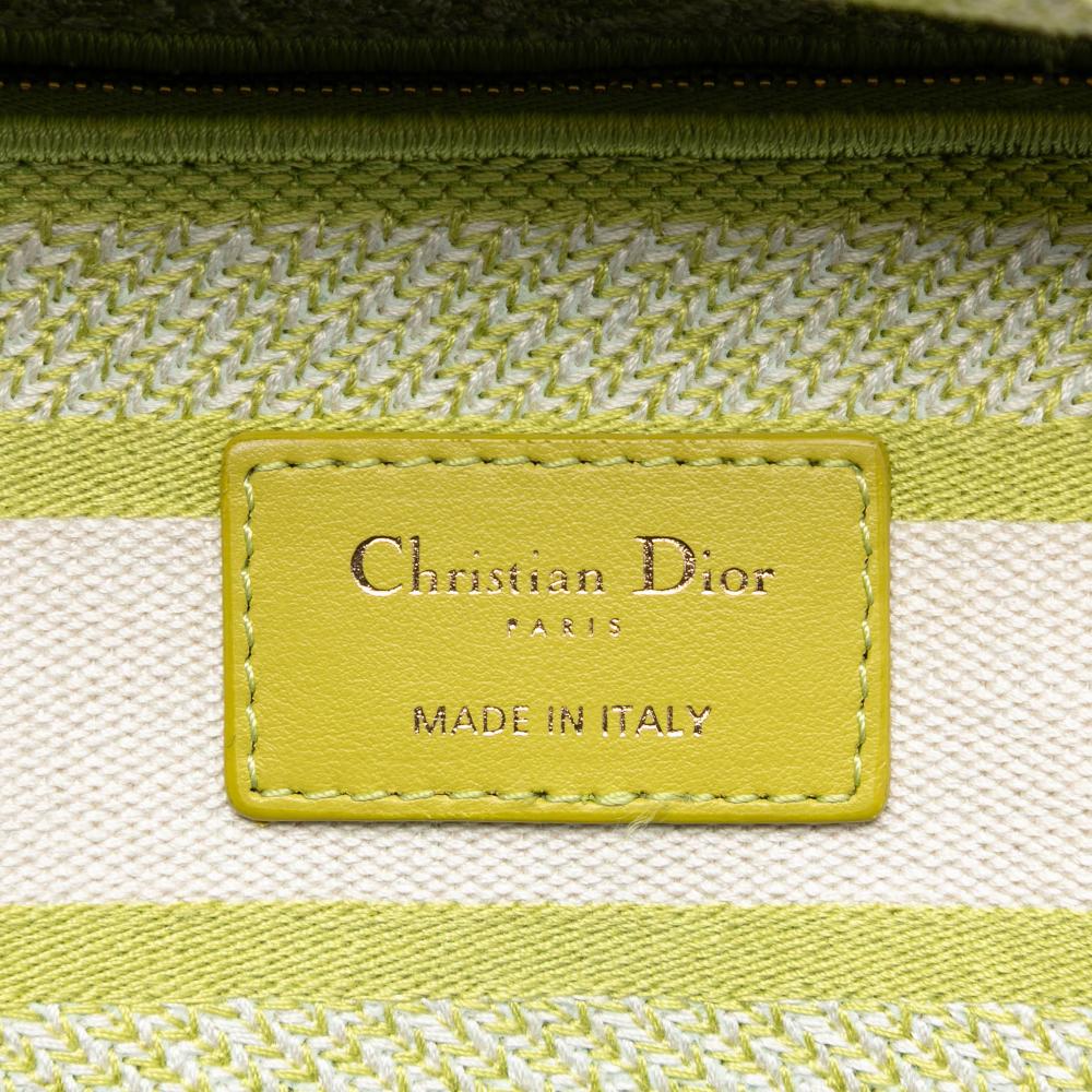Christian Dior B Dior Green Lime Canvas Fabric Medium Embroidered Toile de Jouy Lady D Lite Italy