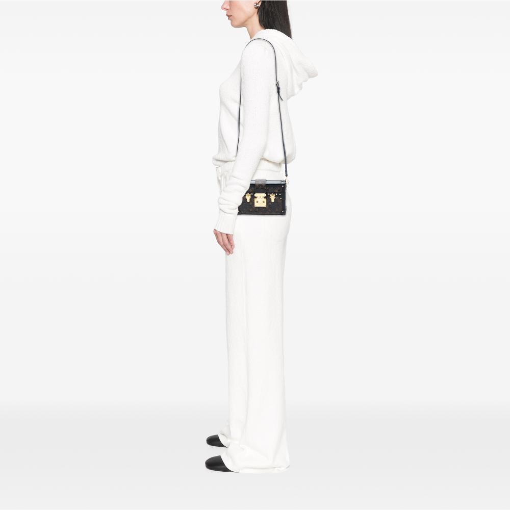 Louis Vuitton AB Louis Vuitton Brown Monogram Canvas Fabric Monogram Blossom Petite Malle France