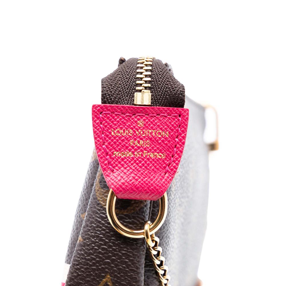 Louis Vuitton Brown Monogram Giraffe Christmas Mini Pochette Accessoires France