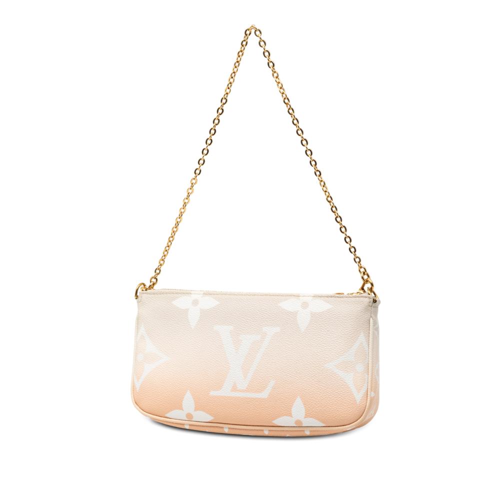 Louis Vuitton Brown Monogram Giant By The Pool Multi Pochette Accessoires France