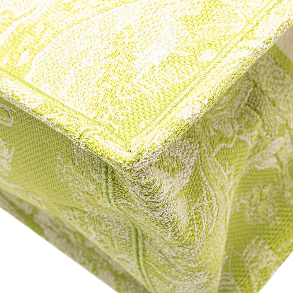 Christian Dior B Dior Green Light Green Canvas Fabric Medium Embroidered Dioriviera Toile De Jouy Book Tote Italy