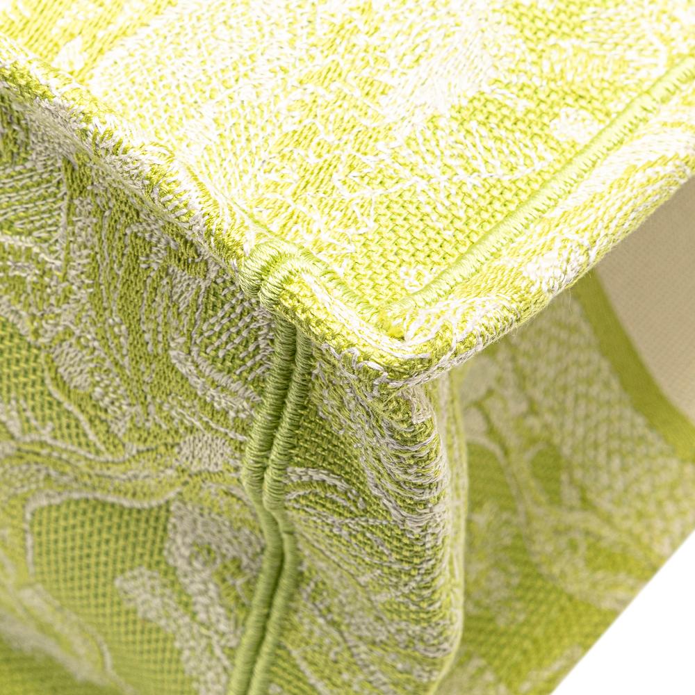 Christian Dior B Dior Green Light Green Canvas Fabric Medium Embroidered Dioriviera Toile De Jouy Book Tote Italy
