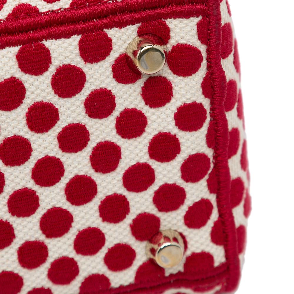 Christian Dior AB Dior Red with White Canvas Fabric DiorAmour Medium Embroidered Dots Lady D Lite Italy